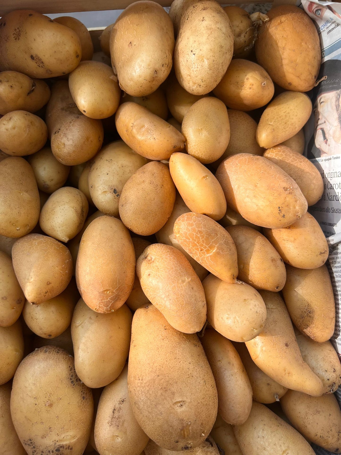 Patate Gialle - Apulian Store - _wf_cus - Drogheria - Km 0